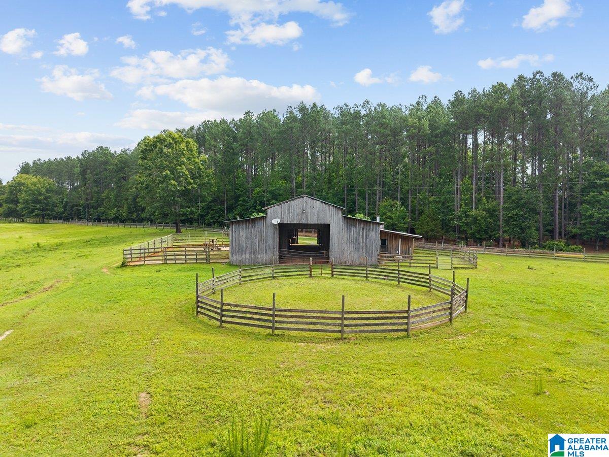 2040 Bud Mountain Road Blountsville, AL 35031 - Photo 34 of 47