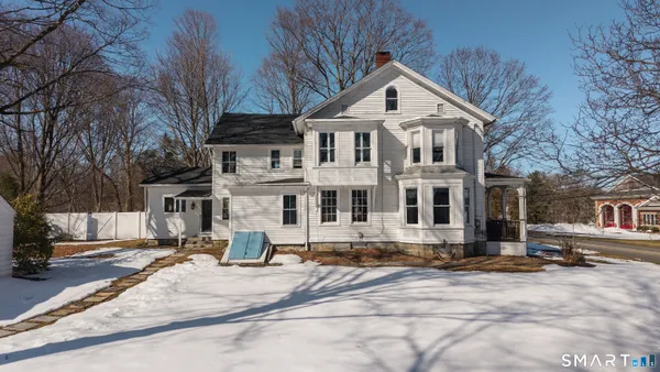 a view of a tree with a tree
