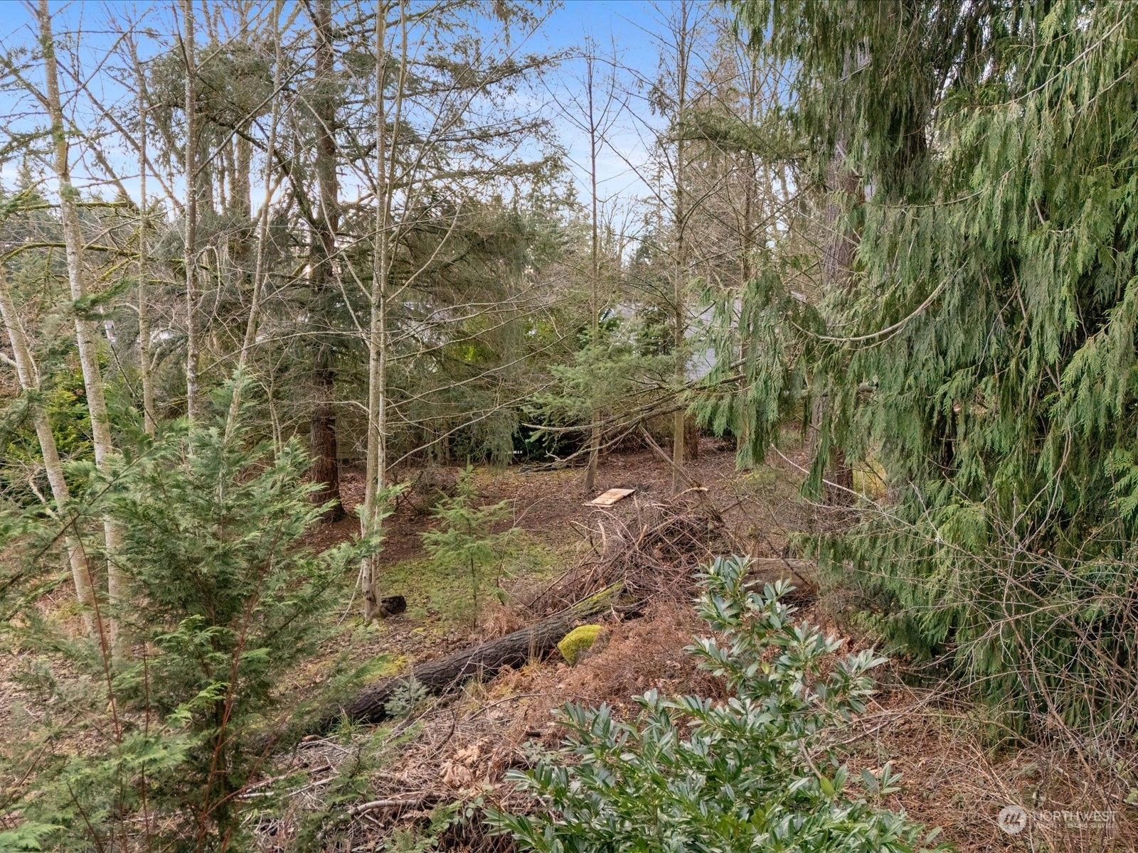 124 234th Place Southeast Bothell, WA 98021 - Photo 3 of 38