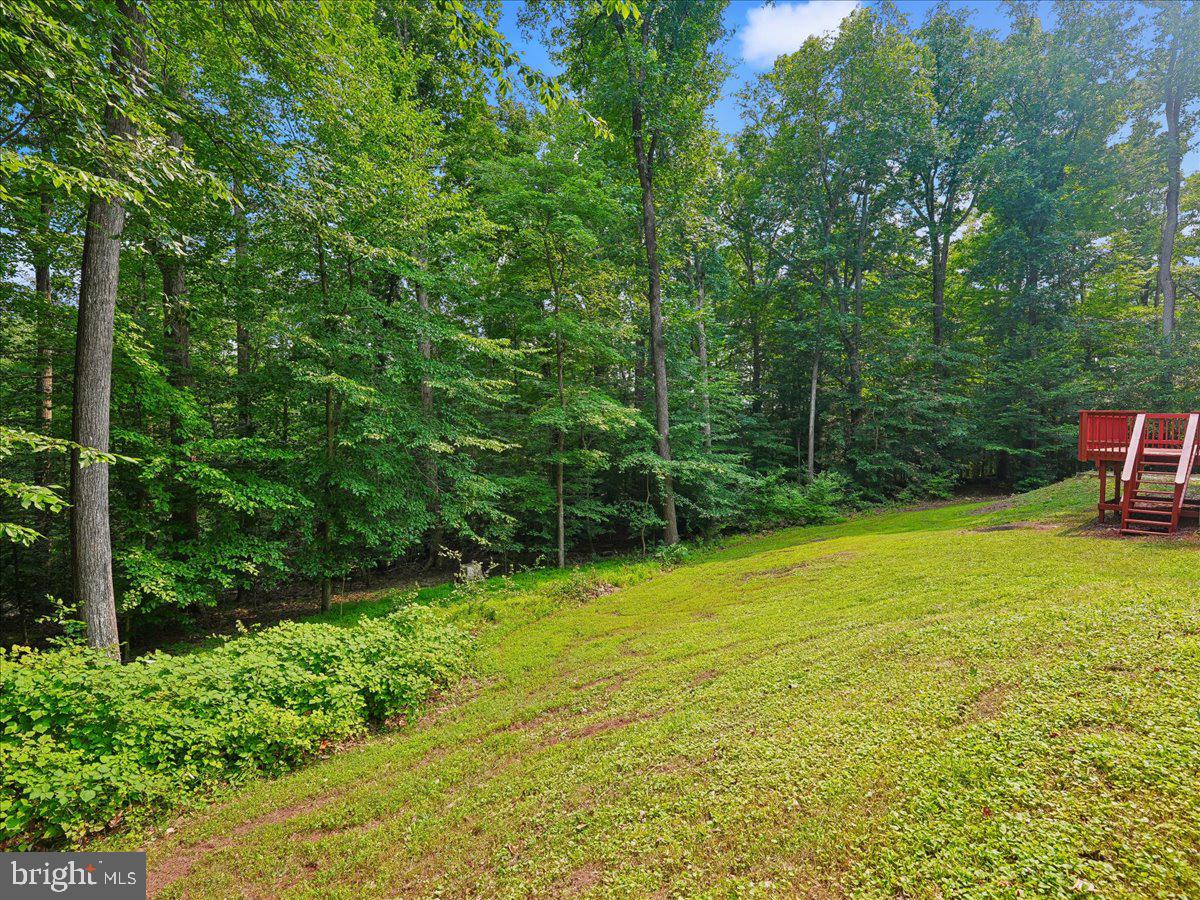 8253 Honeysuckle Road Manassas, VA 20112 - Photo 8 of 15 Serene backyard embraced by nature.