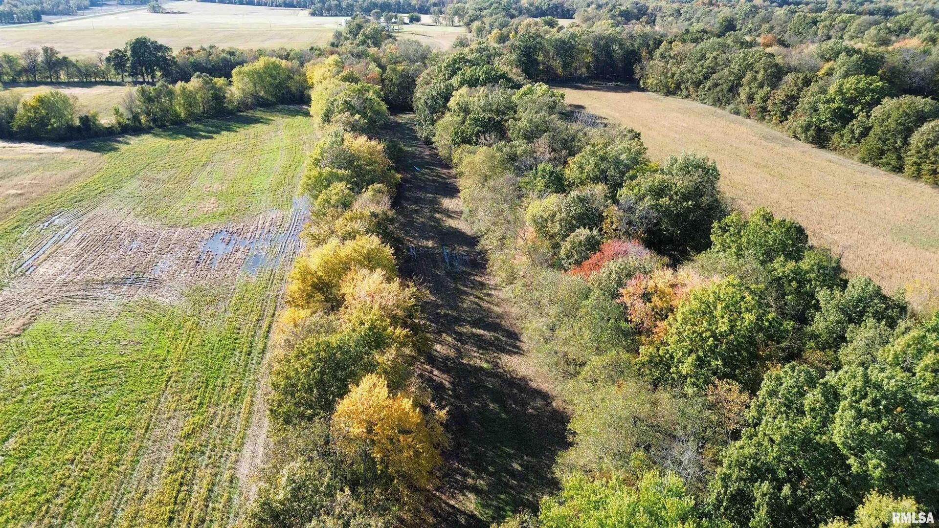 6375 South Forest Church Road Benton, IL 62812 - Photo 7 of 10 a view of lake view