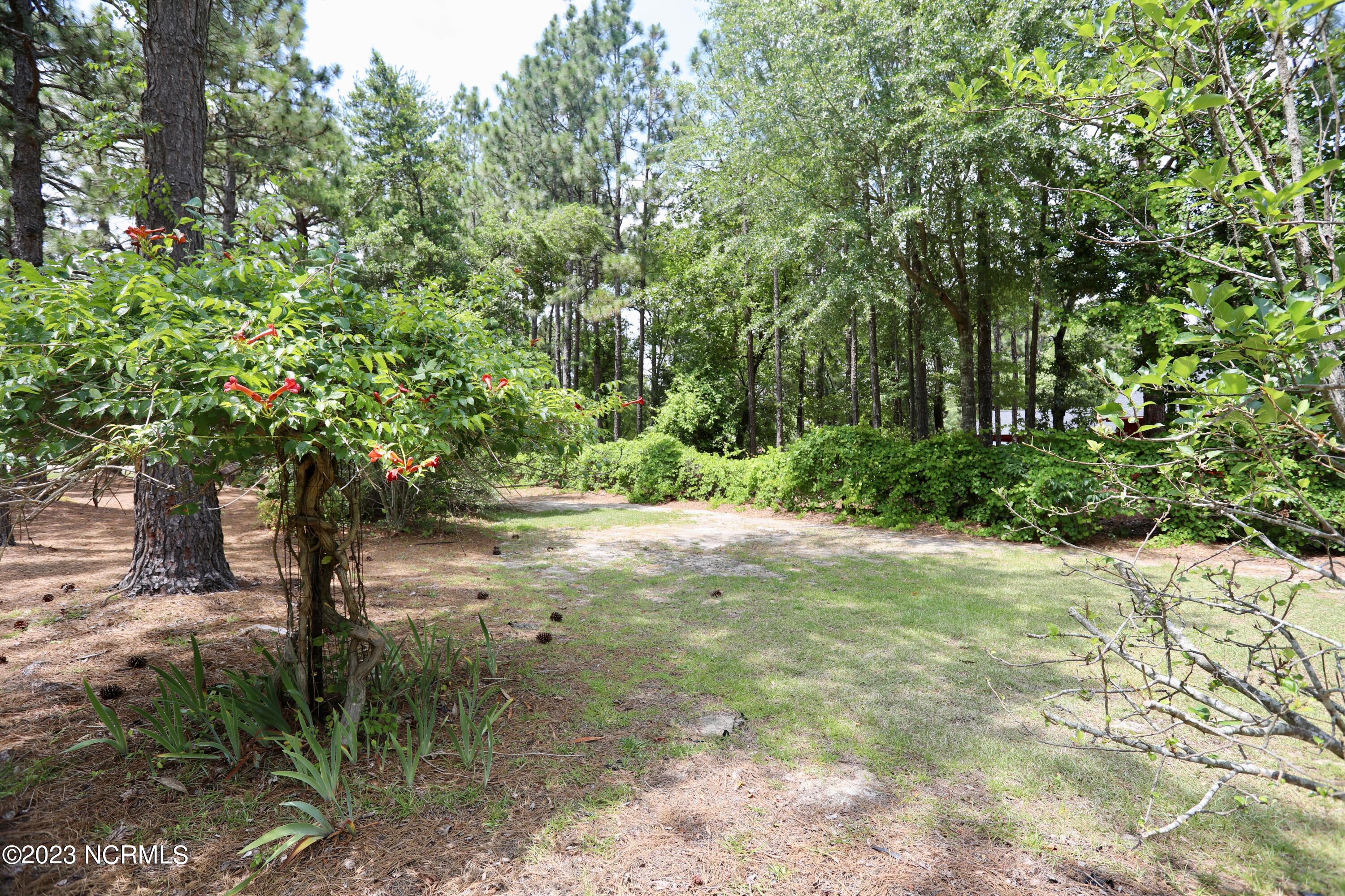 395 Azalea Road Southern Pines, NC 28387 - Photo 13 of 17 023A9423