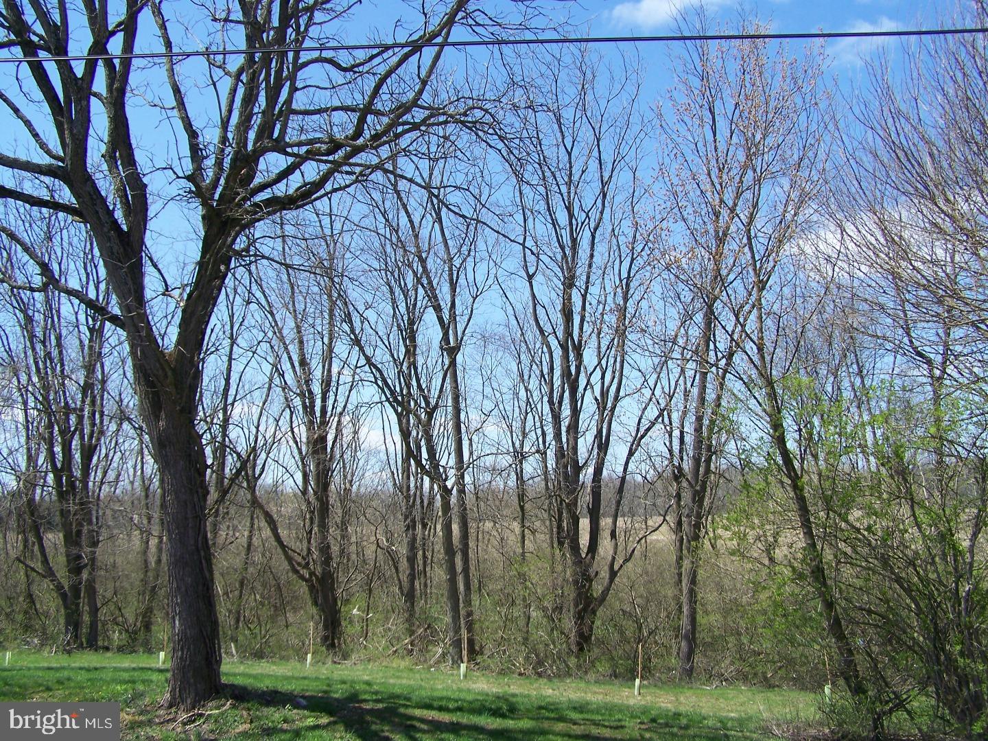 2504 Reedy Road Reading, PA 19609 - Photo 3 of 23 View from Front Door