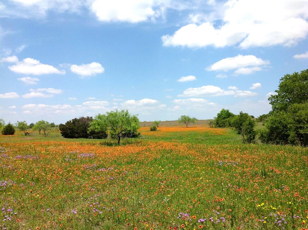 -35 Ac Rattler Hill Road McGregor, TX 76657 - Photo 28 of 37 Gallery Image 28