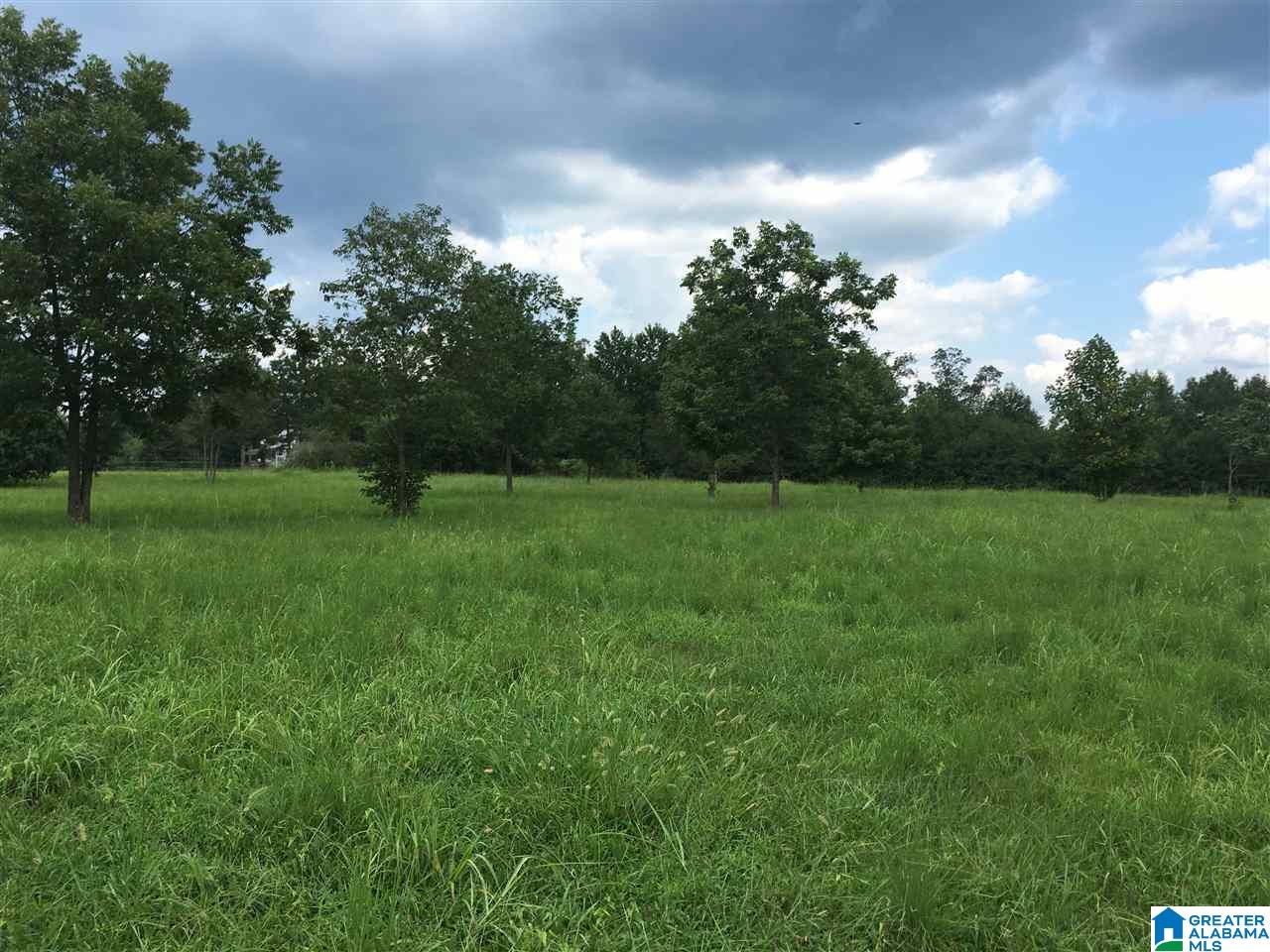 0 Payton Lane, Unit 3 Locust Fork, AL 35097 - Photo 2 of 4