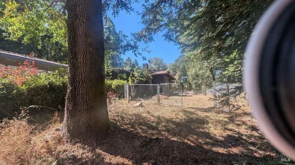 a view of backyard with tree