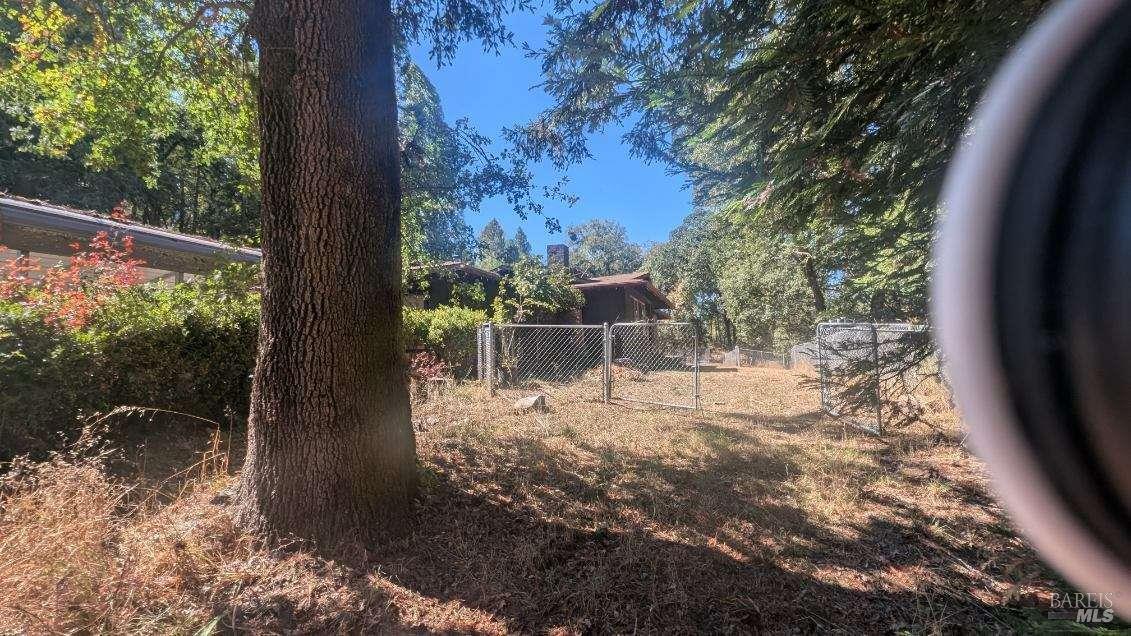 18800 Walker Road Willits, CA 95490 - Photo 4 of 6 a view of backyard with tree