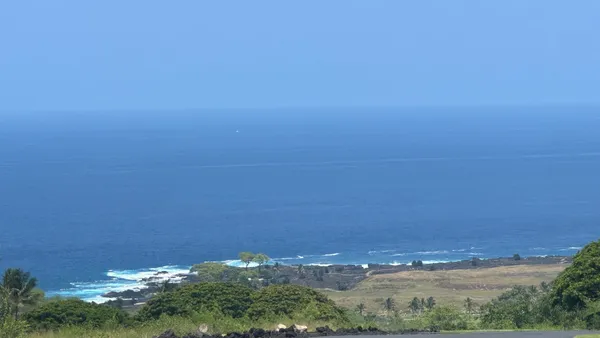 a view of a yard with plants