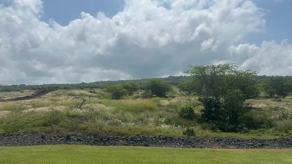 a view of a lake with houses in the back