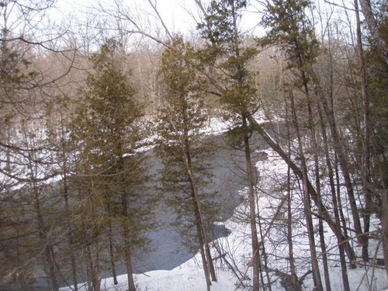 7964 Arthur Road Hesperia, MI 49421 - Photo 2 of 7 P2200790