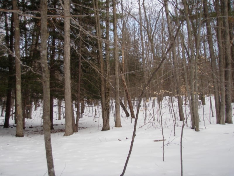 7964 Arthur Road Hesperia, MI 49421 - Photo 4 of 7 P2200811