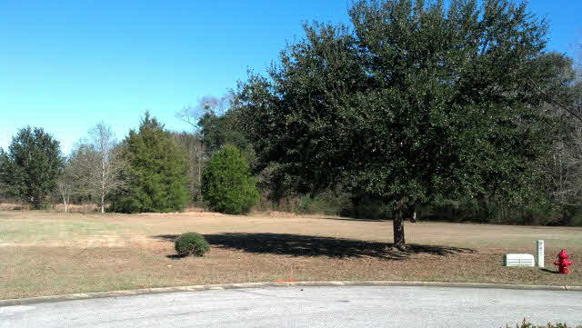 0 Feather Trail Fairhope, AL 36532 - Photo 1 of 1