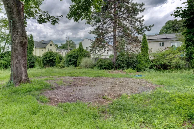 a view of backyard with green space