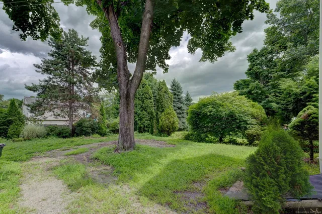 a view of green field with trees in the background