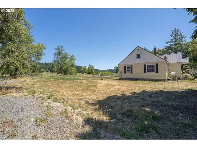 a view of a backyard