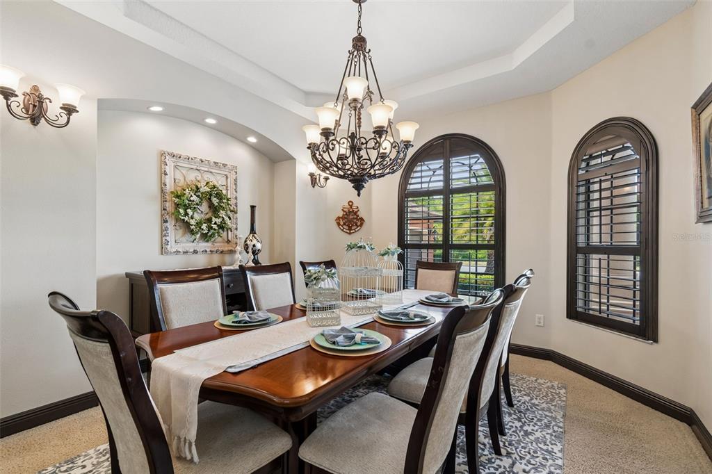 20330 Lace Cascade Road Land O Lakes, FL 34637 - Photo 13 of 100