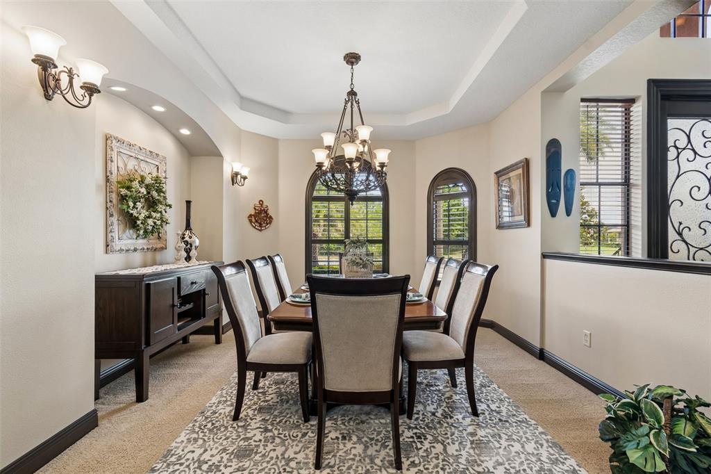 20330 Lace Cascade Road Land O Lakes, FL 34637 - Photo 15 of 100