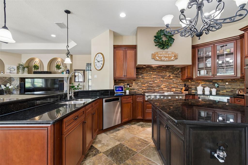 20330 Lace Cascade Road Land O Lakes, FL 34637 - Photo 18 of 100