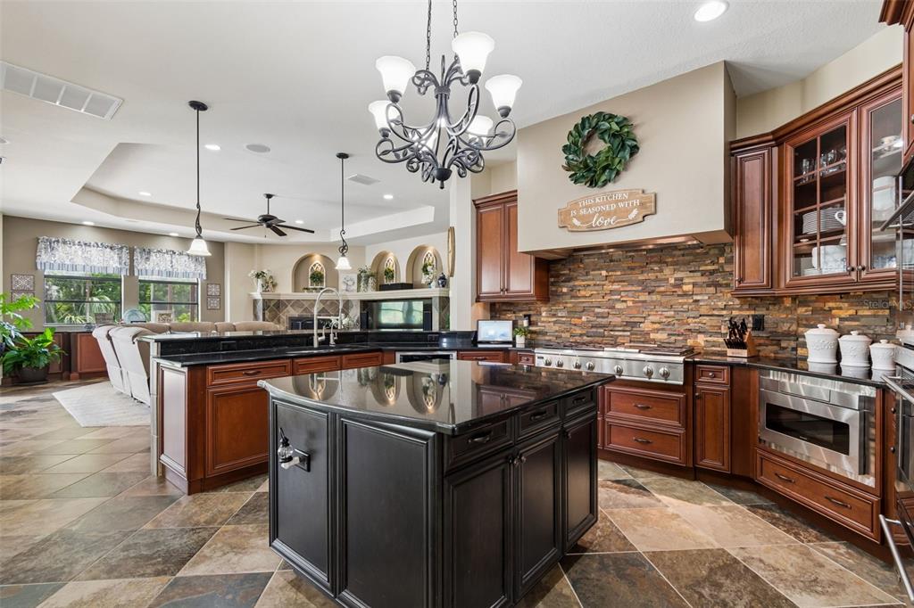 20330 Lace Cascade Road Land O Lakes, FL 34637 - Photo 19 of 100