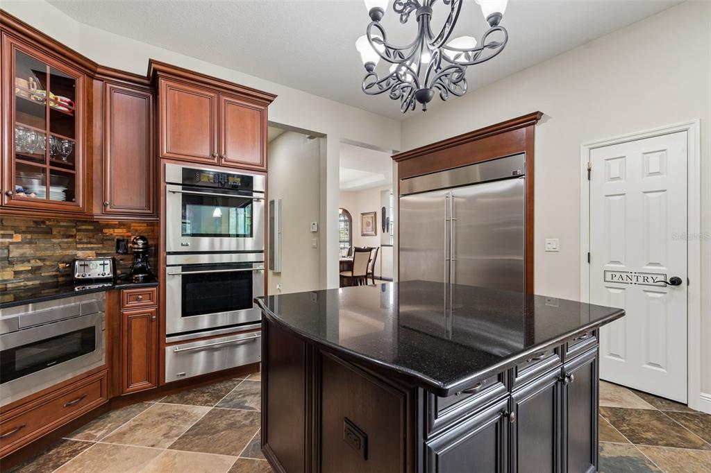 20330 Lace Cascade Road Land O Lakes, FL 34637 - Photo 20 of 100