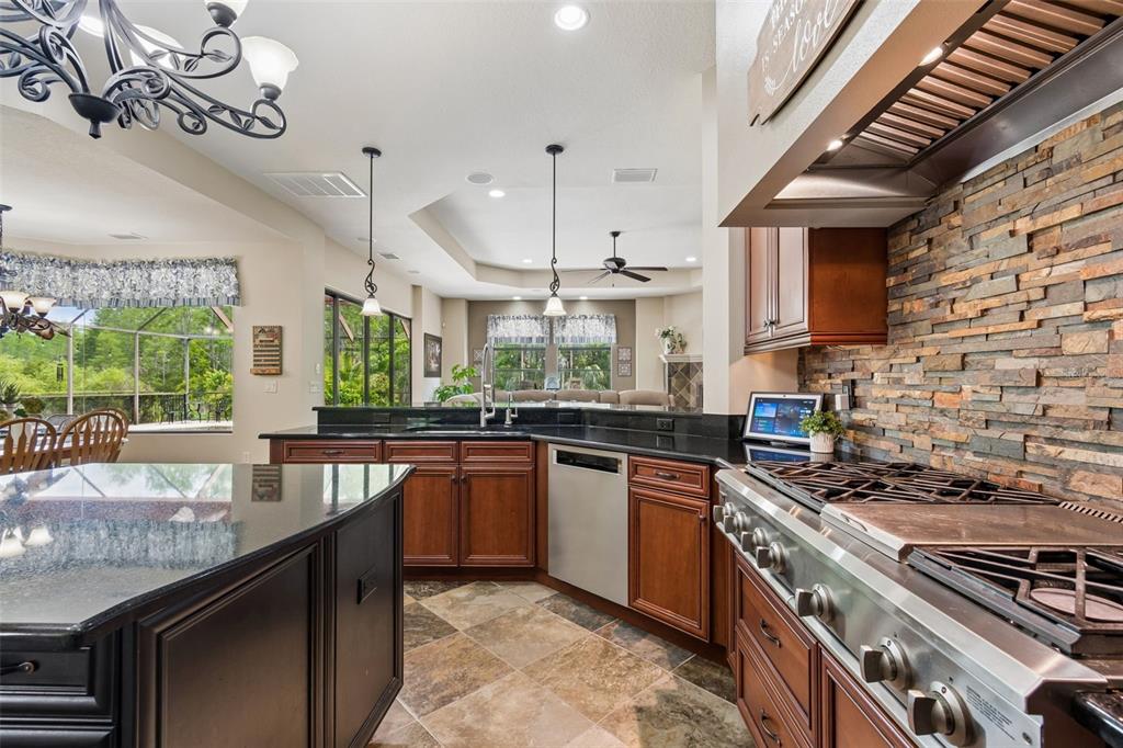 20330 Lace Cascade Road Land O Lakes, FL 34637 - Photo 21 of 100