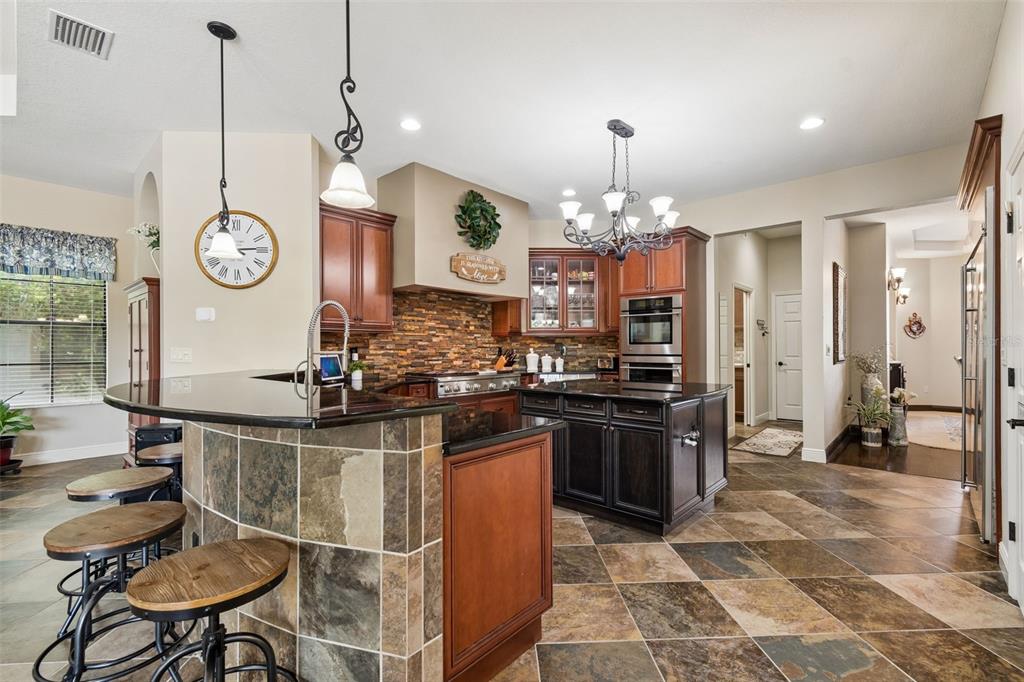 20330 Lace Cascade Road Land O Lakes, FL 34637 - Photo 22 of 100