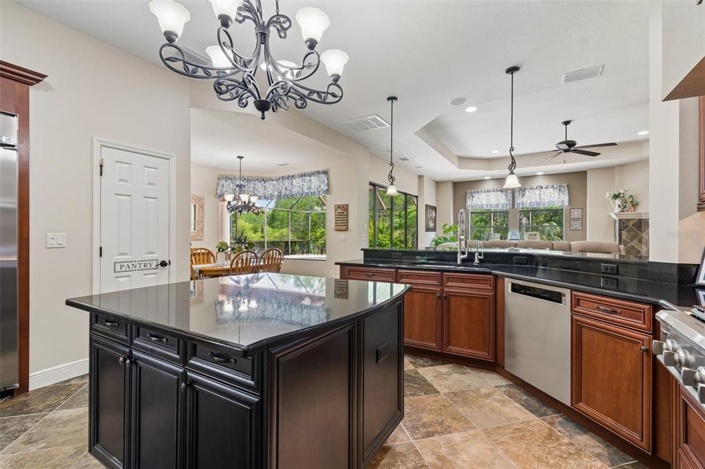 20330 Lace Cascade Road Land O Lakes, FL 34637 - Photo 23 of 100