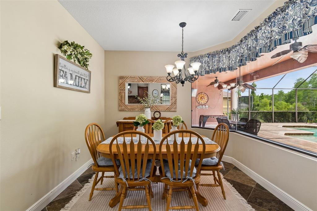 20330 Lace Cascade Road Land O Lakes, FL 34637 - Photo 29 of 100