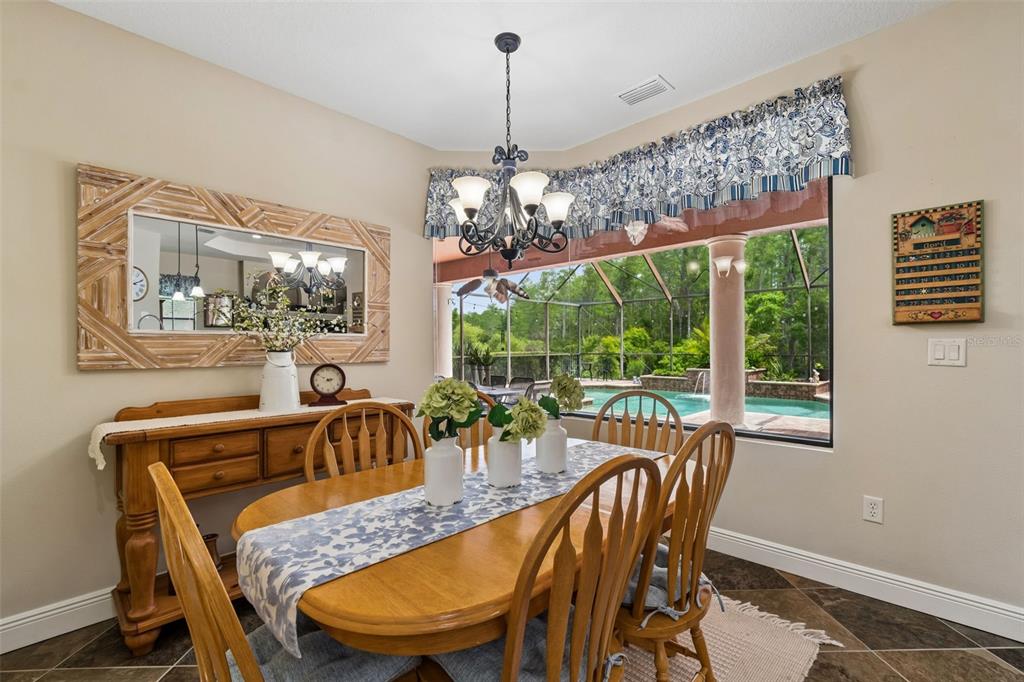 20330 Lace Cascade Road Land O Lakes, FL 34637 - Photo 30 of 100
