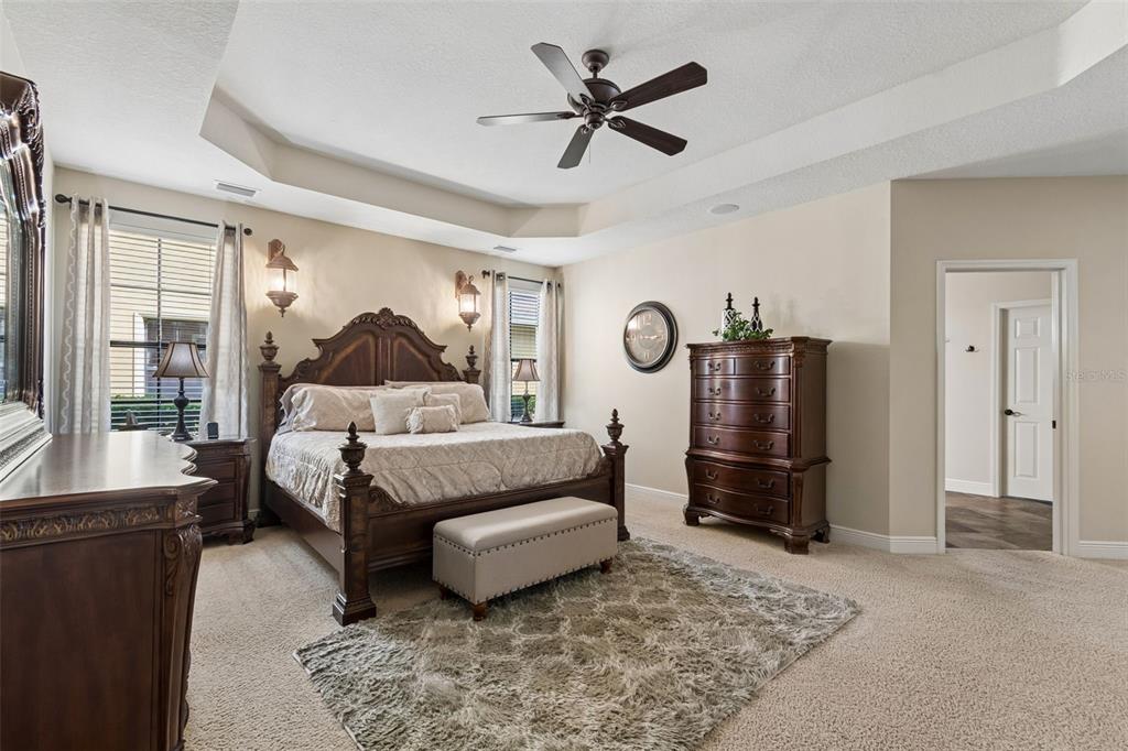 20330 Lace Cascade Road Land O Lakes, FL 34637 - Photo 44 of 100