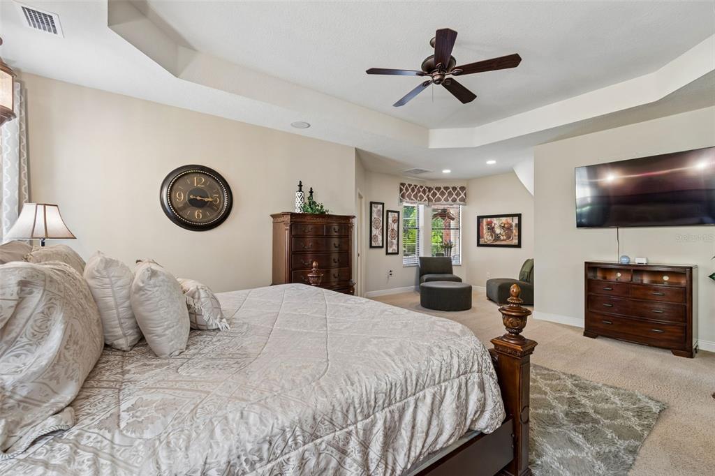 20330 Lace Cascade Road Land O Lakes, FL 34637 - Photo 45 of 100