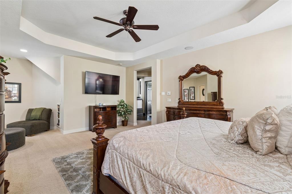 20330 Lace Cascade Road Land O Lakes, FL 34637 - Photo 46 of 100