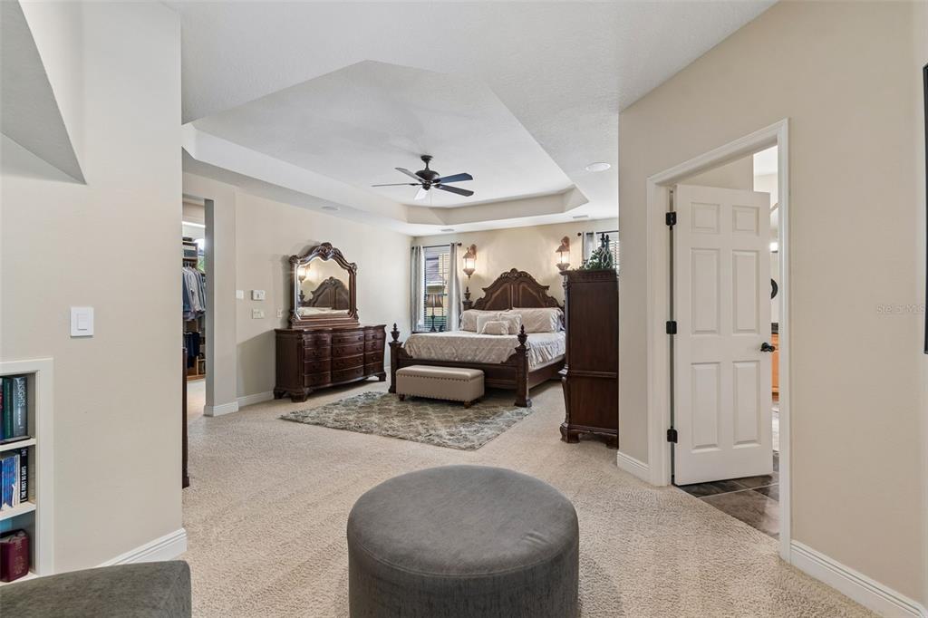 20330 Lace Cascade Road Land O Lakes, FL 34637 - Photo 48 of 100