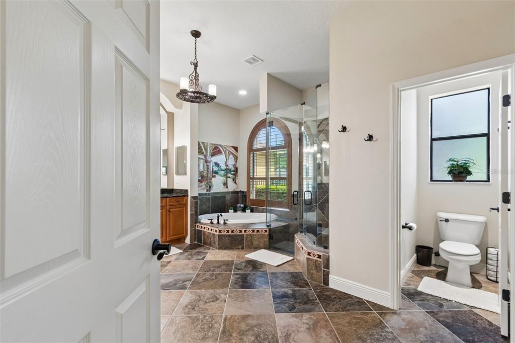 20330 Lace Cascade Road Land O Lakes, FL 34637 - Photo 50 of 100