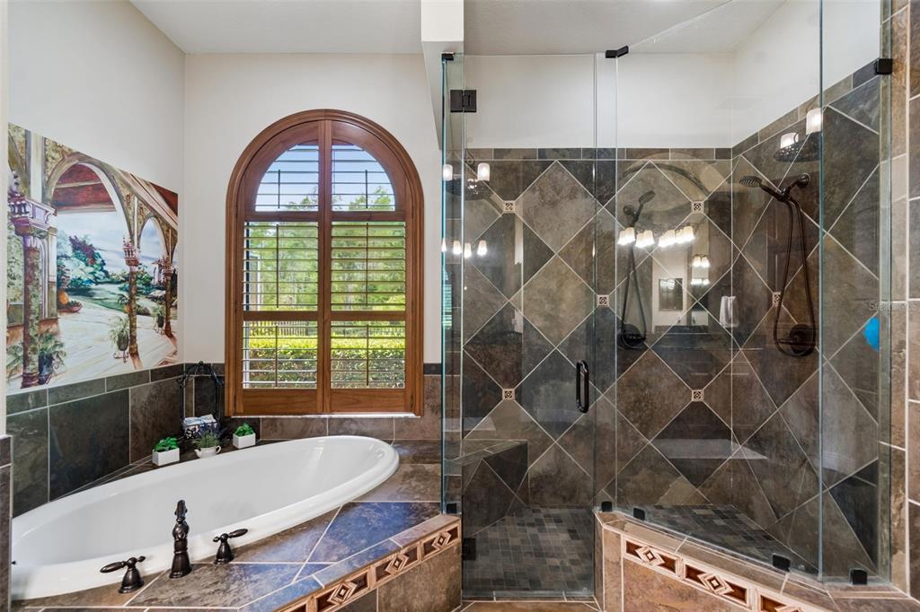 20330 Lace Cascade Road Land O Lakes, FL 34637 - Photo 52 of 100
