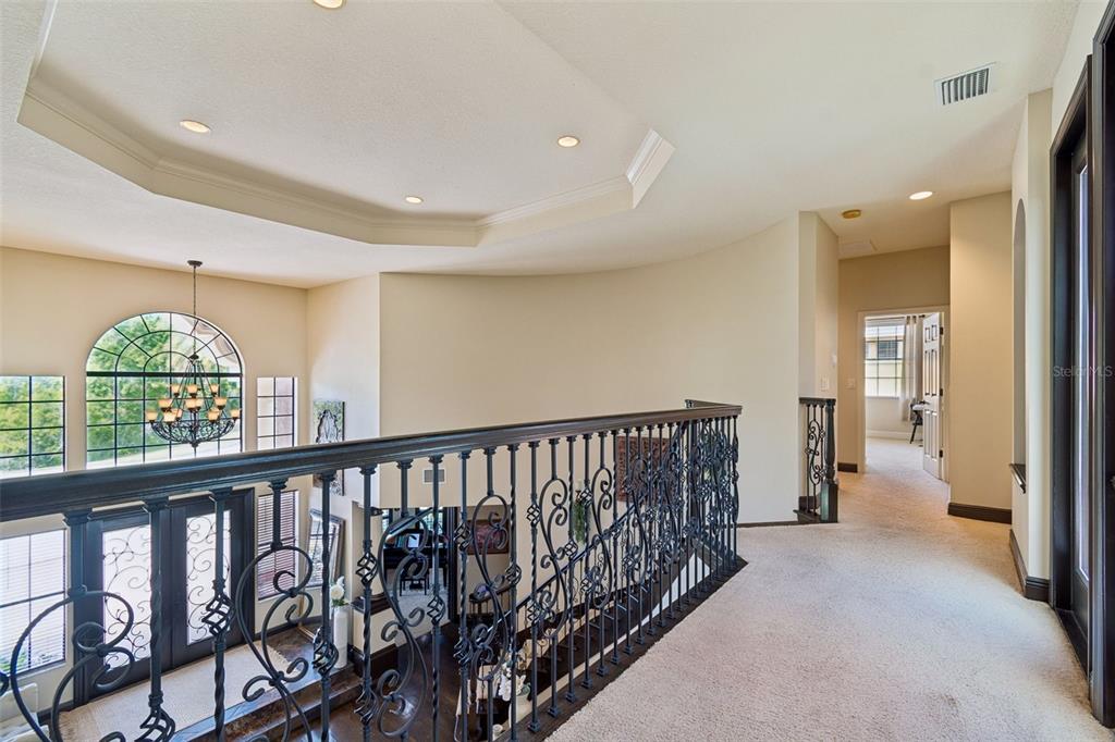 20330 Lace Cascade Road Land O Lakes, FL 34637 - Photo 54 of 100