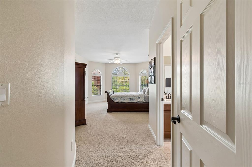 20330 Lace Cascade Road Land O Lakes, FL 34637 - Photo 59 of 100