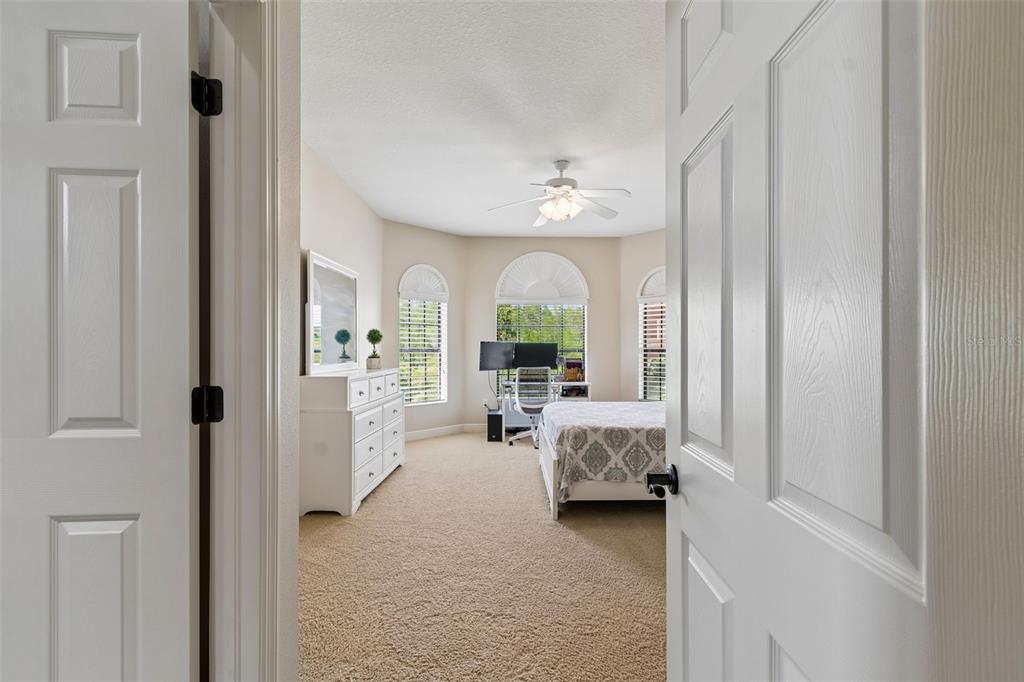 20330 Lace Cascade Road Land O Lakes, FL 34637 - Photo 66 of 100