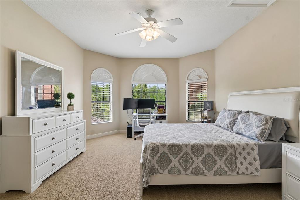 20330 Lace Cascade Road Land O Lakes, FL 34637 - Photo 67 of 100