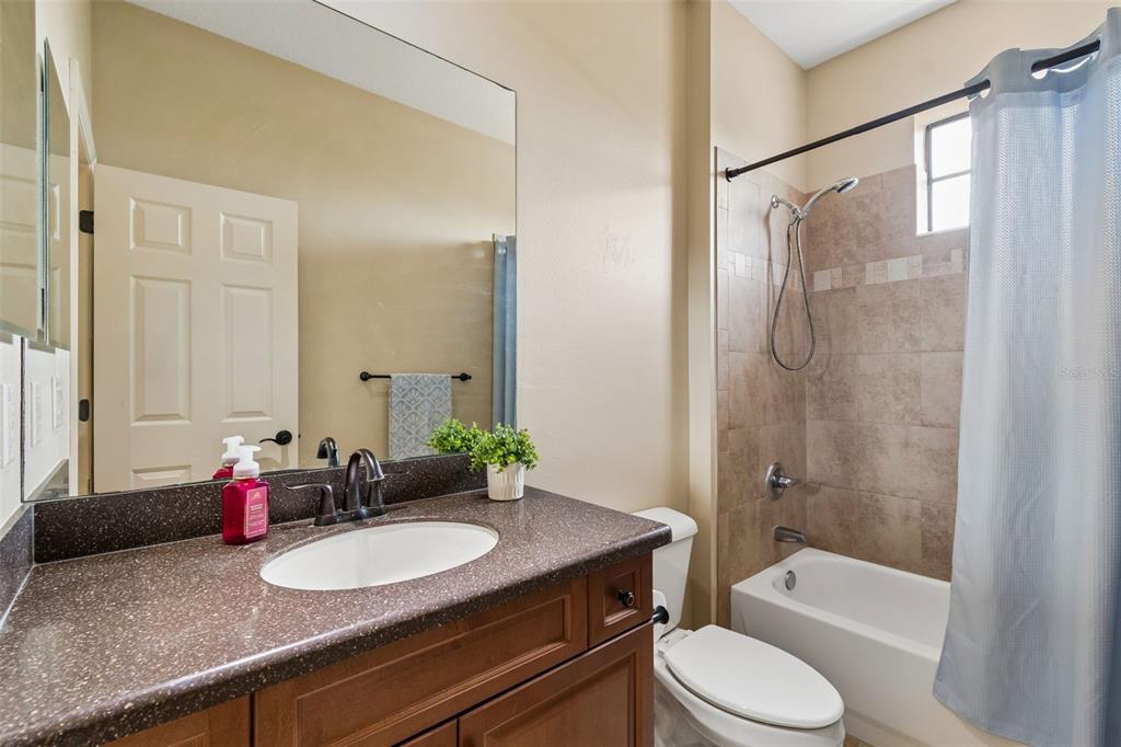 20330 Lace Cascade Road Land O Lakes, FL 34637 - Photo 69 of 100