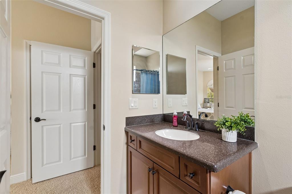 20330 Lace Cascade Road Land O Lakes, FL 34637 - Photo 70 of 100