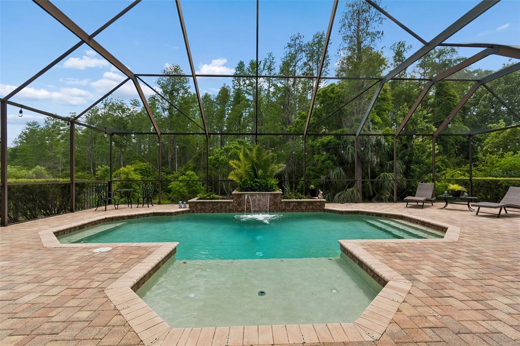 20330 Lace Cascade Road Land O Lakes, FL 34637 - Photo 82 of 100
