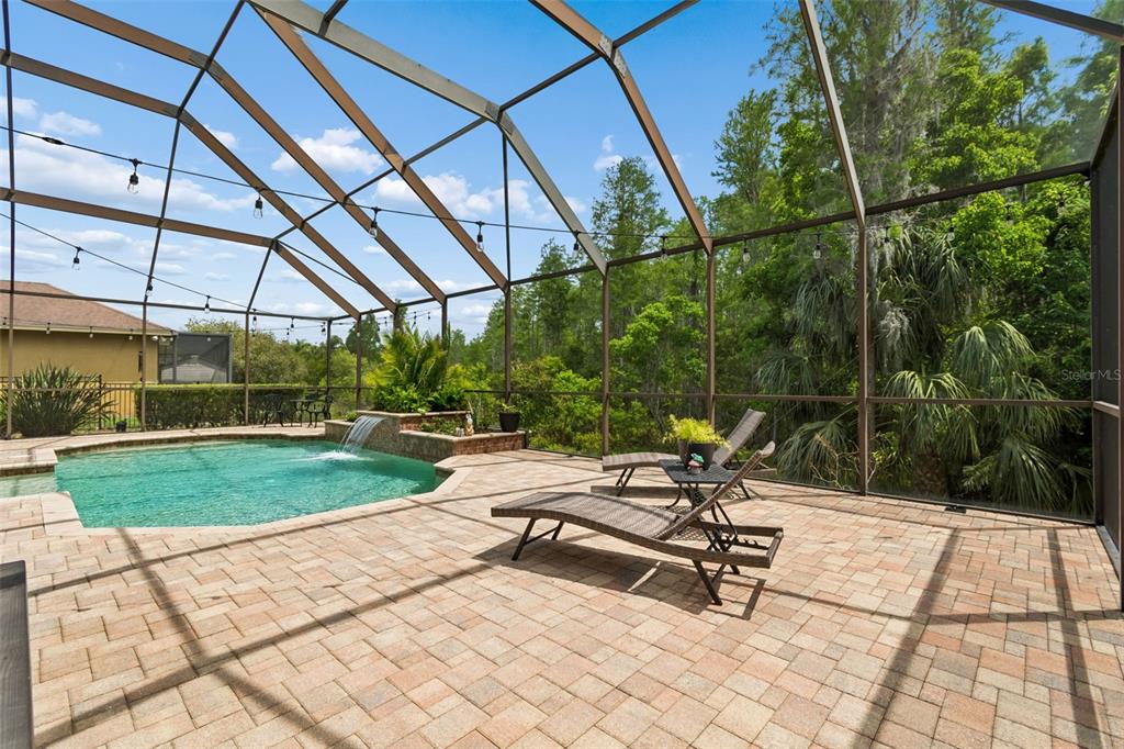 20330 Lace Cascade Road Land O Lakes, FL 34637 - Photo 83 of 100