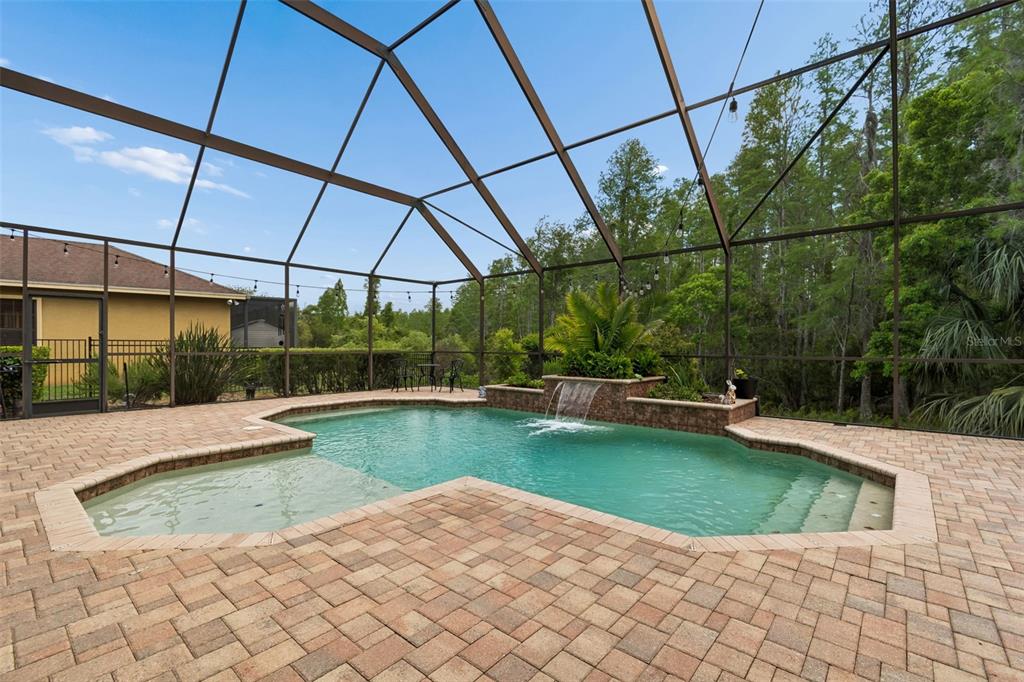 20330 Lace Cascade Road Land O Lakes, FL 34637 - Photo 86 of 100