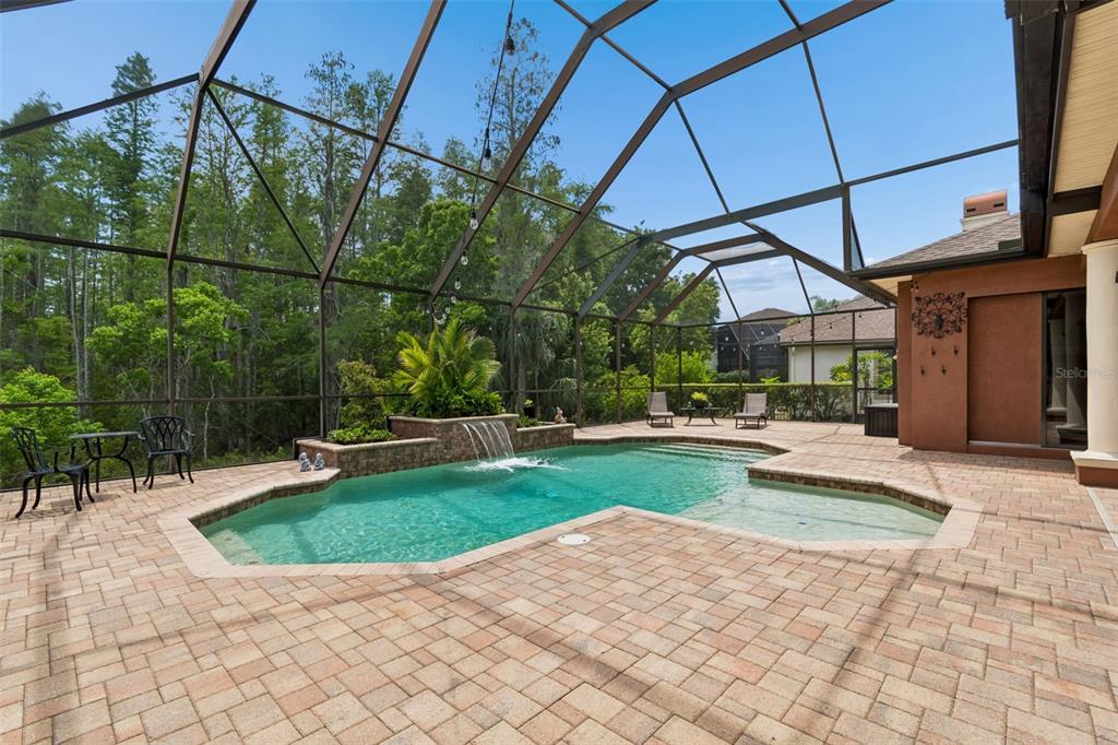 20330 Lace Cascade Road Land O Lakes, FL 34637 - Photo 87 of 100