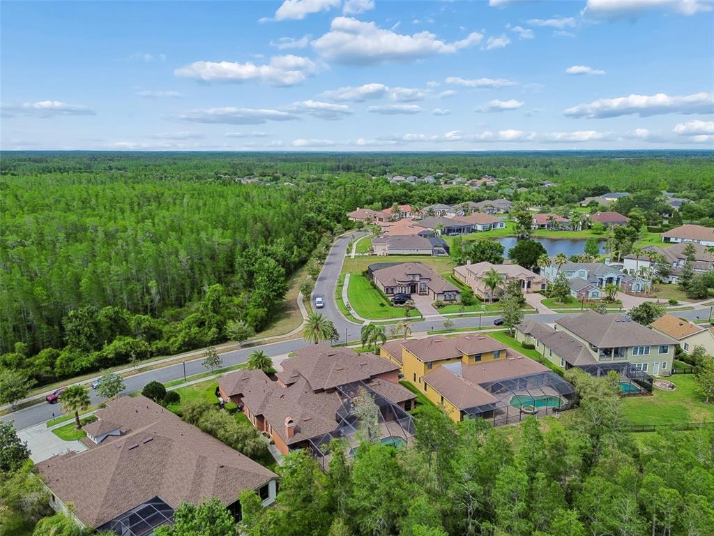 20330 Lace Cascade Road Land O Lakes, FL 34637 - Photo 89 of 100
