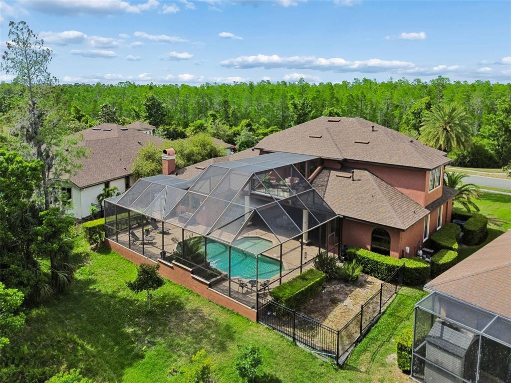 20330 Lace Cascade Road Land O Lakes, FL 34637 - Photo 90 of 100