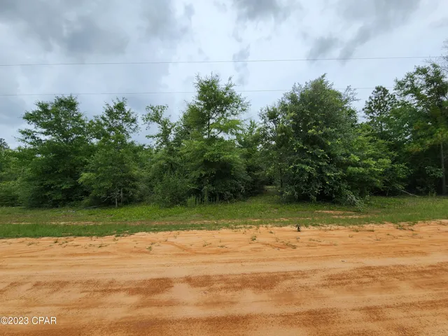 $22,500 | 0 Onida Street, Unit LOT 5, Alford, FL 32420