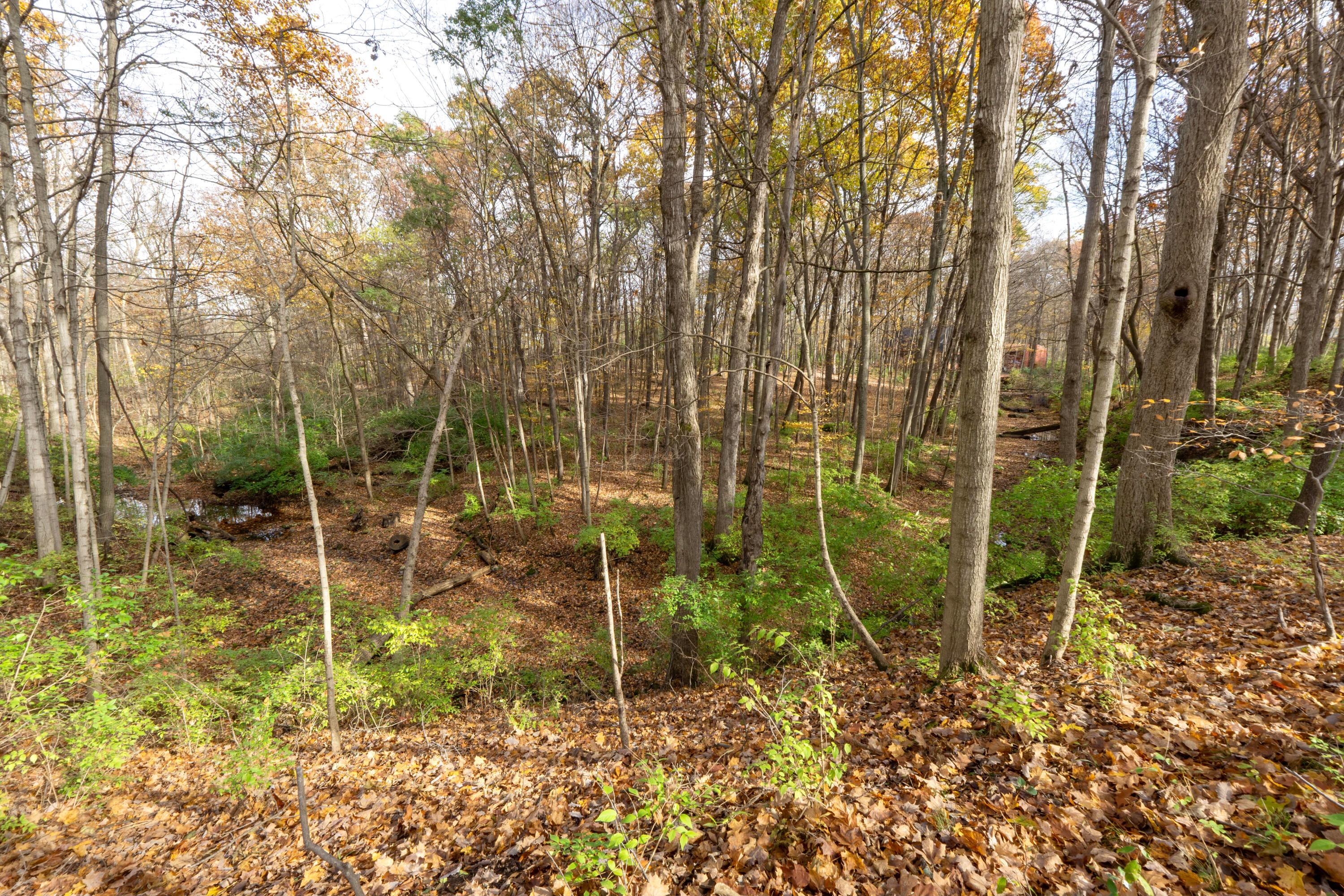 3880 Fry Road Ostrander, OH 43061 - Photo 60 of 82 Your own private sanctuary.