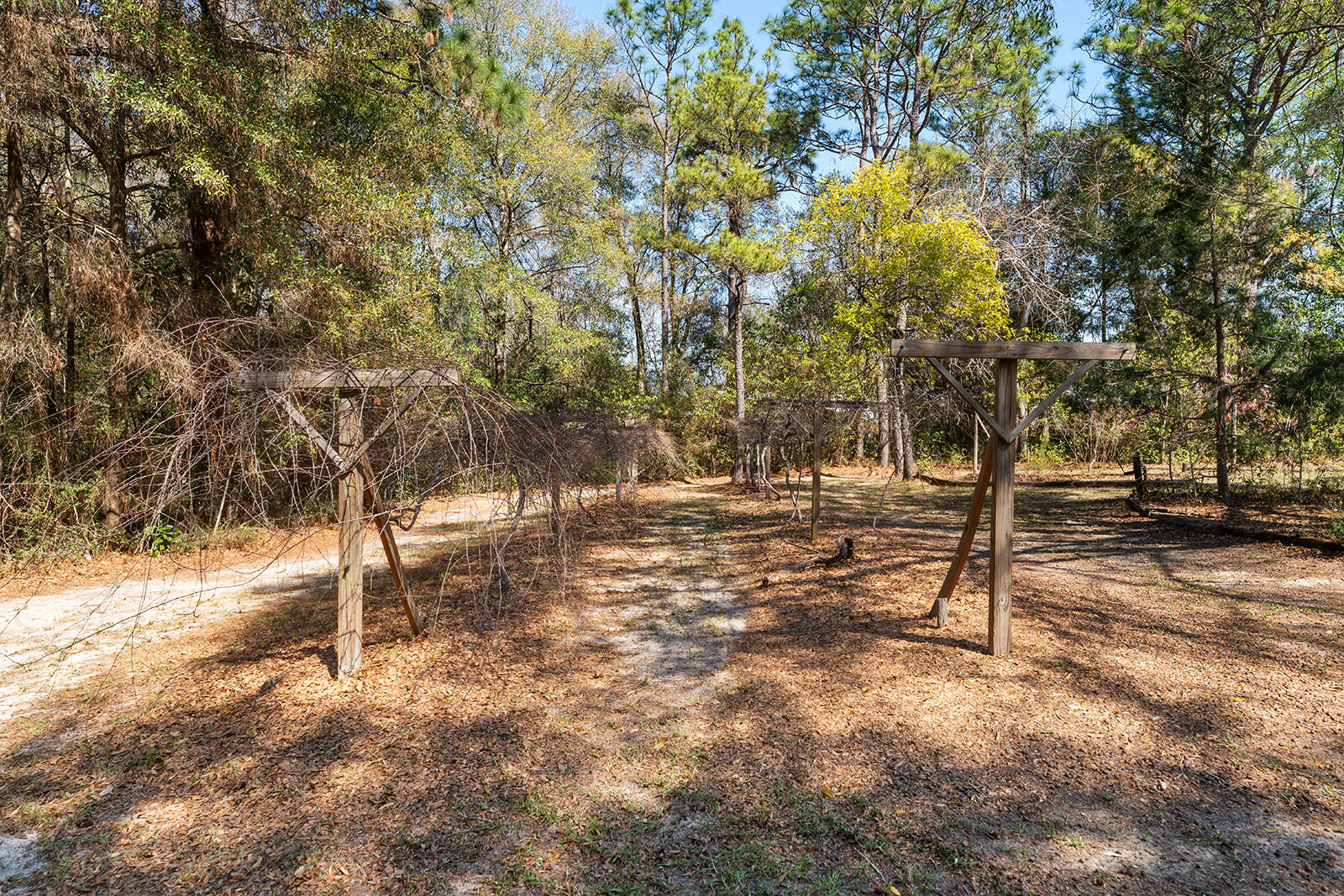 3687 Airport Road Crestview, FL 32539 - Photo 72 of 74 a view of a yard with trees